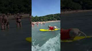 Doggo Surfer on the Beach in Thailand 🏄🌊#shorts #shorts