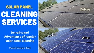 Master The Art Of Solar Panel Cleaning With Professional Services In 2024