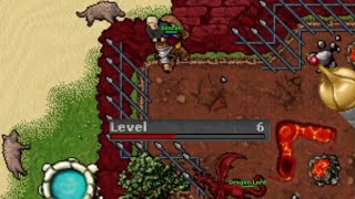 6 level vs Dragon Lord #tibia 2024