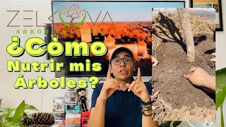 🌳¿Cómo Nutrir los Árboles?🌲‼️🌿🌱