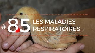 LES MALADIES RESPIRATOIRES │LFDT #85