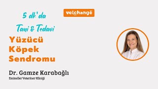 5 dk'da Yüzücü Köpek Sendromu ''Dr. Gamze Karabağlı''