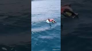 In Taiwan, a man who fell asleep on an inflatable wheel and drifted into the sea