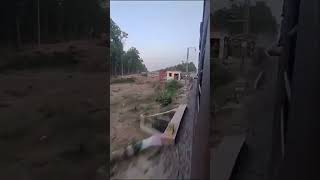 15010 Mailani Gorakhpur Express Accelerating towards Lakhimpur #shorts