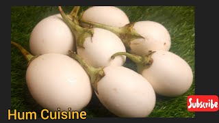 White Baingan Recipe | White Eggplant Recipe | Never Seen Unique Recipe | White Bringal