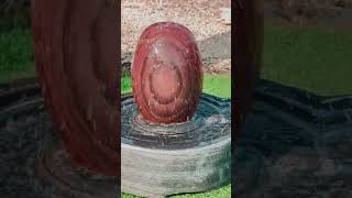 Narmadeswar Shivling/ Shivalingam/Harishankar Shivling Art 8103481032