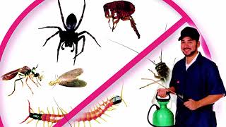 xayaysiinta somali pest control 29 8 2018