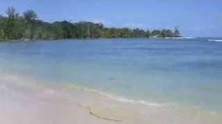 Surfing At Bocas del Toro