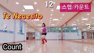 초급 스텝 카운트Te NecesitoCount:32 Wall:4  Level:Beginner