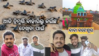 ମିଶିକି ବାହାରିଲୁ କଇଁଛ ଦେଖିବା ପାଇଁ 🤭 || ବାବା ବଟେଶ୍ୱରଙ୍କ ଦର୍ଶନ କରିଲୁ 🙏 || #heyitsme #odiavlog