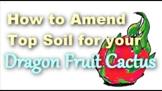 How to Amend Top Soil for Dragon Fruit Cactus