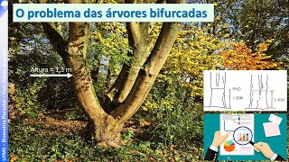 BF 04  - O problema das árvores bifurcadas