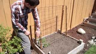 Cheap and Easy Trellises for the Home Garden