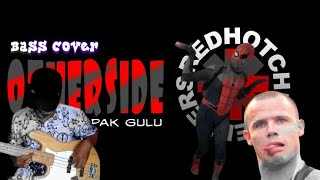 Pak guru - RHCP Otherside