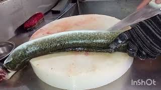 #Sibot eel or #palos sa ilog #tabang ganito pala Ang eel sa ilog