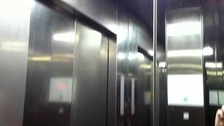 [Brand New] Schinder 5500 MRL Elevator @ The Atrium at Orchard