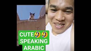 CAT SPEAK ARABIC 🤣🤣