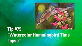 Watercolor Hummingbird | Watercolor Painting Tip 75