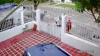 Inseguridad en el barrio Bellavista de Barranquilla