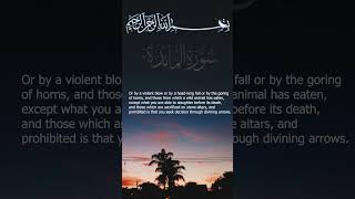 Surah Al-Ma'idah Mishary bin Rashid Alafasy I Ayah 03 part-1