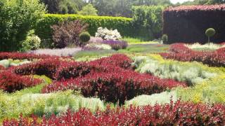 Filoli, Woodside CA