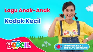 Lagu Anak Populer: Menari 'Kodok Kecil' Bersama Kak Dila