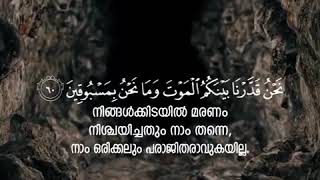 ഇതൊന്ന് കേട്ട് നോക്കൂ സൂറത്തുൽ വാഖിഅ -മനോഹരമായ പാരായണം