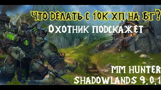 ХАНТЕР MM ПВП │ЖЕСТКИЙ НАГИБ 9.0.1 │ World of Warcraft SL Pre-Patch Hunter MM BG FUN (9.0.1)