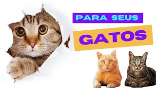 PeT, CAT, GatO SÃO EspEcIAis. MimOS CONfoRtAvEis!