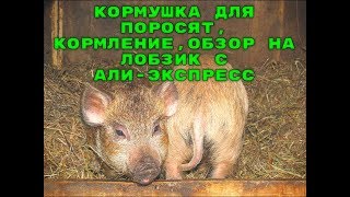 Кормление поросят, сделали кормушку, обзор лобзика с Али-экспресс