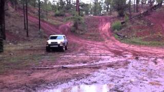 Show low mud bogging