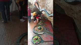 Gangeshwar Mahadev #viralvideo #viralshorts #shortvideo #shorts #video #diu #tour #harharmahadev