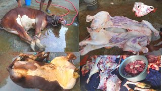 Beef Cutting | Meat Cutting | Cutting Skills | Cow