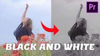 Black And White Video In premiere Pro | Black And White Effect Learn In Minute #blackandwhite