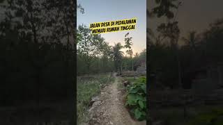 Jalan terjal pedalaman desa menuju rumah #home #village #nature