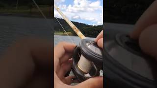 COMO PESCAR COM CARRETILHA #pesca #molinete #carretilha #pescaria #shorts #fishing #tutorial