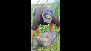 Vine de PESCA con Tarraya en este lago y Vean los tremendos pescados que sacamos