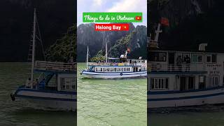 Halong bay tour Vietnam 🇻🇳 #youtubeshorts #shorts #vietnam