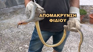 Απομάκρυνση φιδιού από κατοικία - Snake rescue - removal