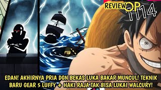 REVIEW OP 1114 - EDAN! AKHIRNYA PRIA DGN LUKA BAKAR MUNCUL! TEKNIK GEAR 5 LUFFY GAGAL LUKAI WALCURY!