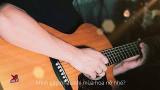 Sau này hãy gặp lại nhau khi hoa nở - Nguyên Hà | Hoà ất Guitar cover (Lyrics)