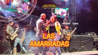 💃 LAS AMARRADAS, SUPER LAMAS EN VIVO💃