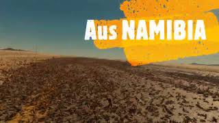 Red locusts outbreak plagues the grazing lands of the southern regions of NAMIBIA. ASMR