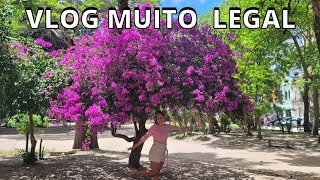 Vlog muito legal.