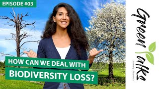 UBT Green Talks Ep.3: How can we deal with Biodiversity Loss?