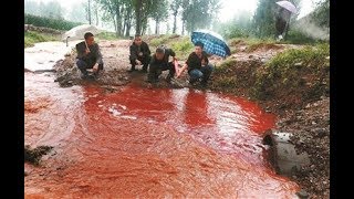 雲南河流雨後變血紅色，岸邊湧出大量毒蛇|A Chinese river became blood red after rain, many snakes rushed from shore!