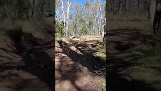 X-Trail. off roading, Australia.