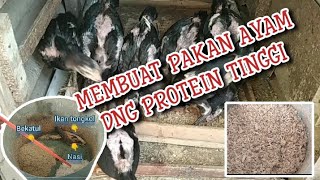 Membuat pakan ayam dengan protein tinggi II mudiv happy life by freji