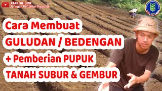 MEMBUAT GULUDAN ATAU BEDENGAN SEKALIGUS PEMBERIAN PUPUK KANDANG AGAR TANAH SUBUR