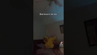 bad dreams be like(funny things on tiktok)